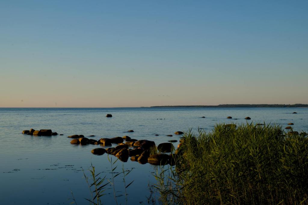 Wisconsin DNR Awards $6M for Waterway Conservation, Killifish&nbsp;Restoration